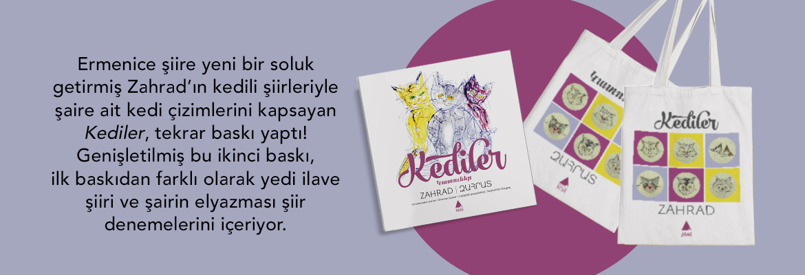 kediler_web5
